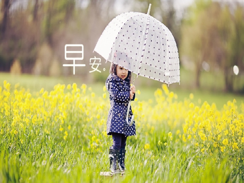 试管动物怎么生殖(南宁做试管最好)